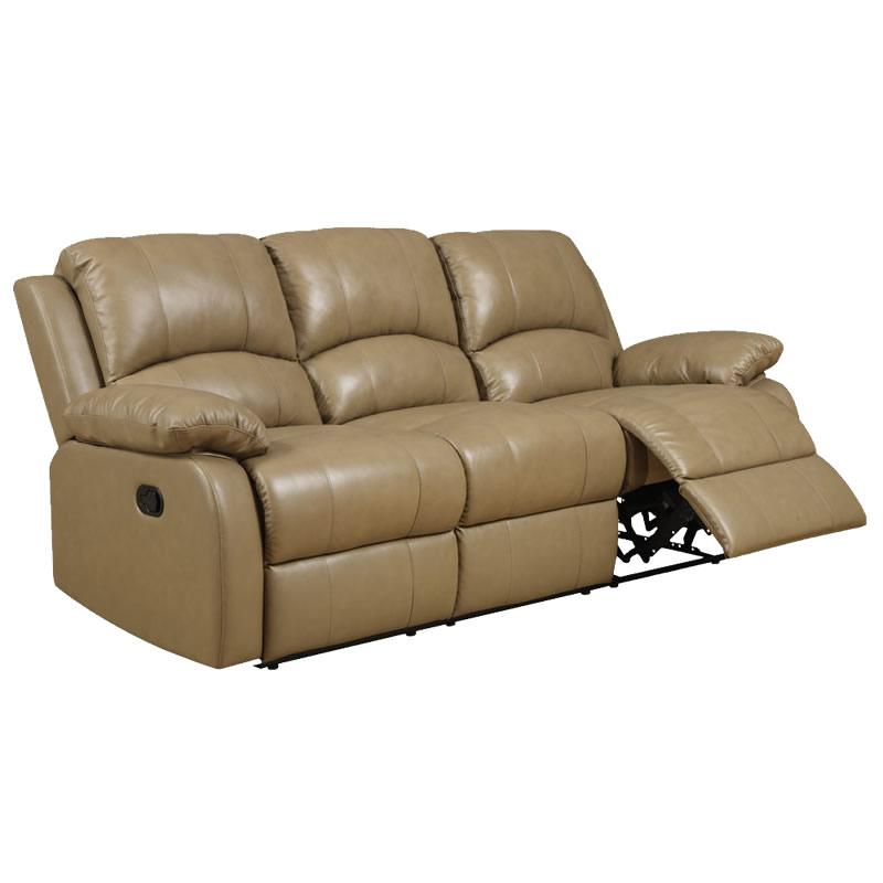 Acme Furniture Phelia Reclining Sofa 51160 IMAGE 1